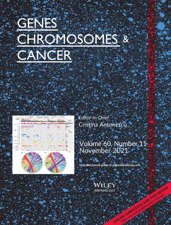 An undifferentiated sarcoma of bone with a round to epithelioid cell phenotype harboring a novel EWSR1‐SSX2 fusion identified by RNA‐based next‐generation sequencing