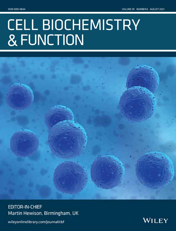 The critical role of mesenchymal stromal/stem cell therapy in COVID‐19 patients: An updated review