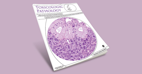 Characterization of the Nonendocrine Cell Populations in Human Embryonic Stem Cell–Derived (hESC) Islet-Like Clusters Posttransplantation