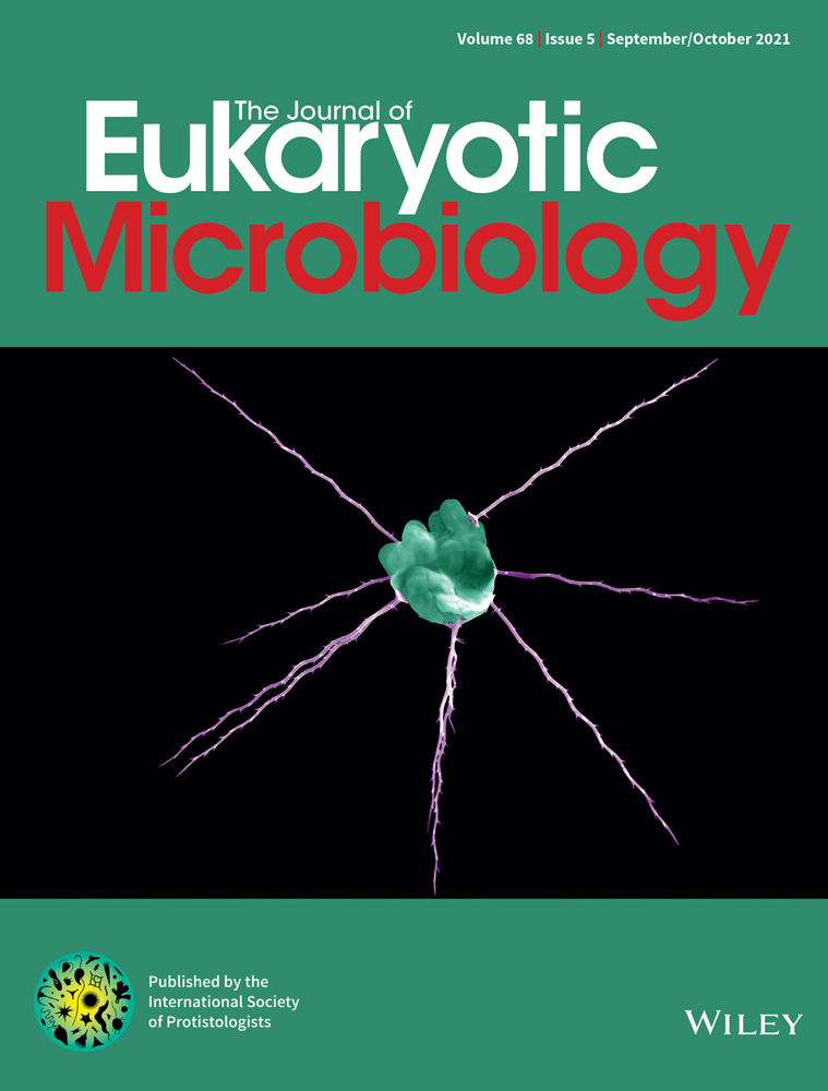 A Parachlorella kessleri (Trebouxiophyceae, Chlorophyta) Strain Tolerant to High Concentration of Calcium Chloride