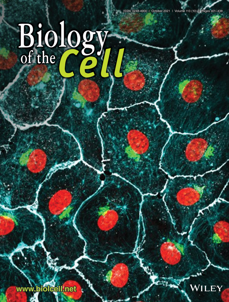 Endocytosis and stress: From mechanisms to cellular physiology