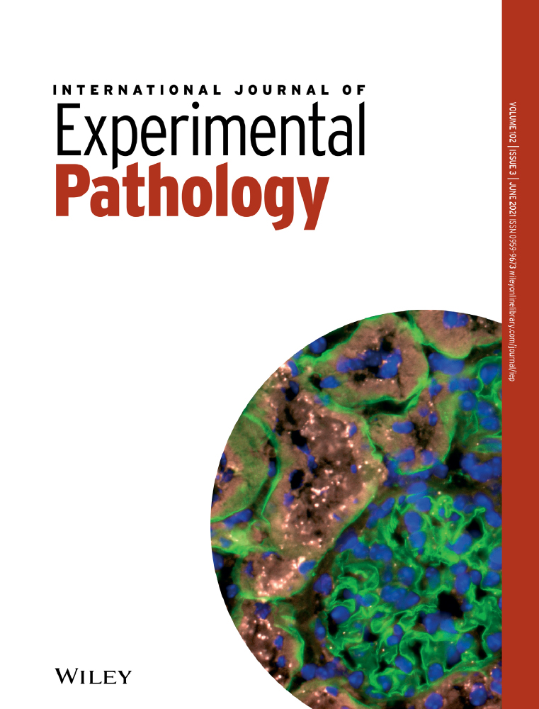 The role of thromboxane prostanoid receptor signaling in gastric ulcer healing