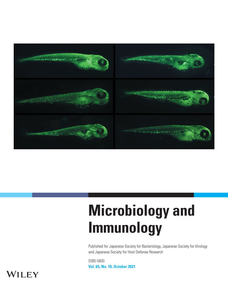 Analysis of the upstream genetic structures of the ISEcp1‐blaCTX‐M transposition units in Escherichia coli isolates carrying blaCTX‐M obtained from the Indonesian and Vietnamese communities