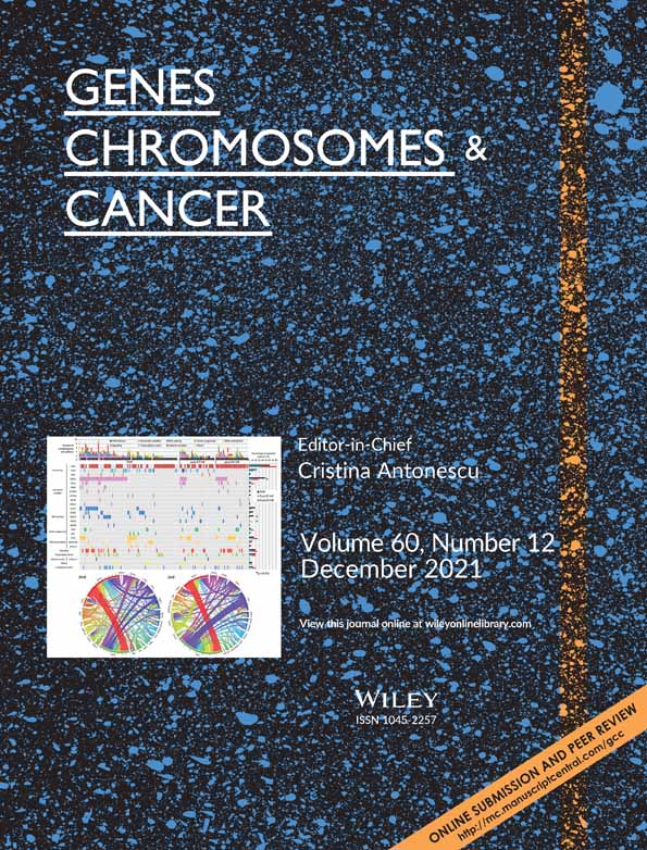 Translocation Carcinomas of the Kidney