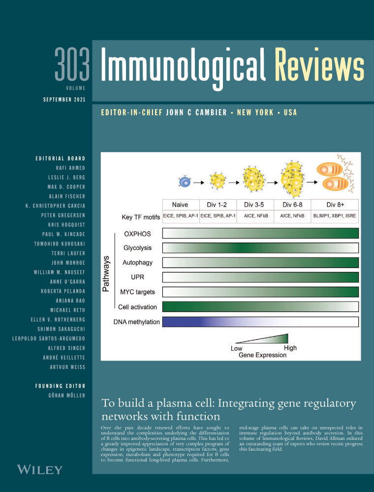 Imaging leukocyte migration through afferent lymphatics*