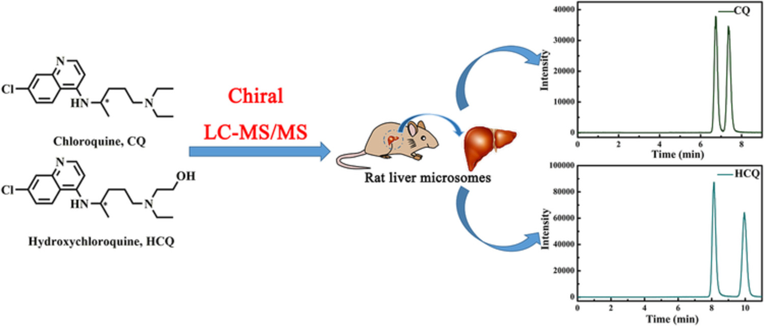 Enantioselective analyses of chloroquine and hydroxychloroquine in rat liver microsomes through chiral liquid chromatography–tandem mass spectrometry