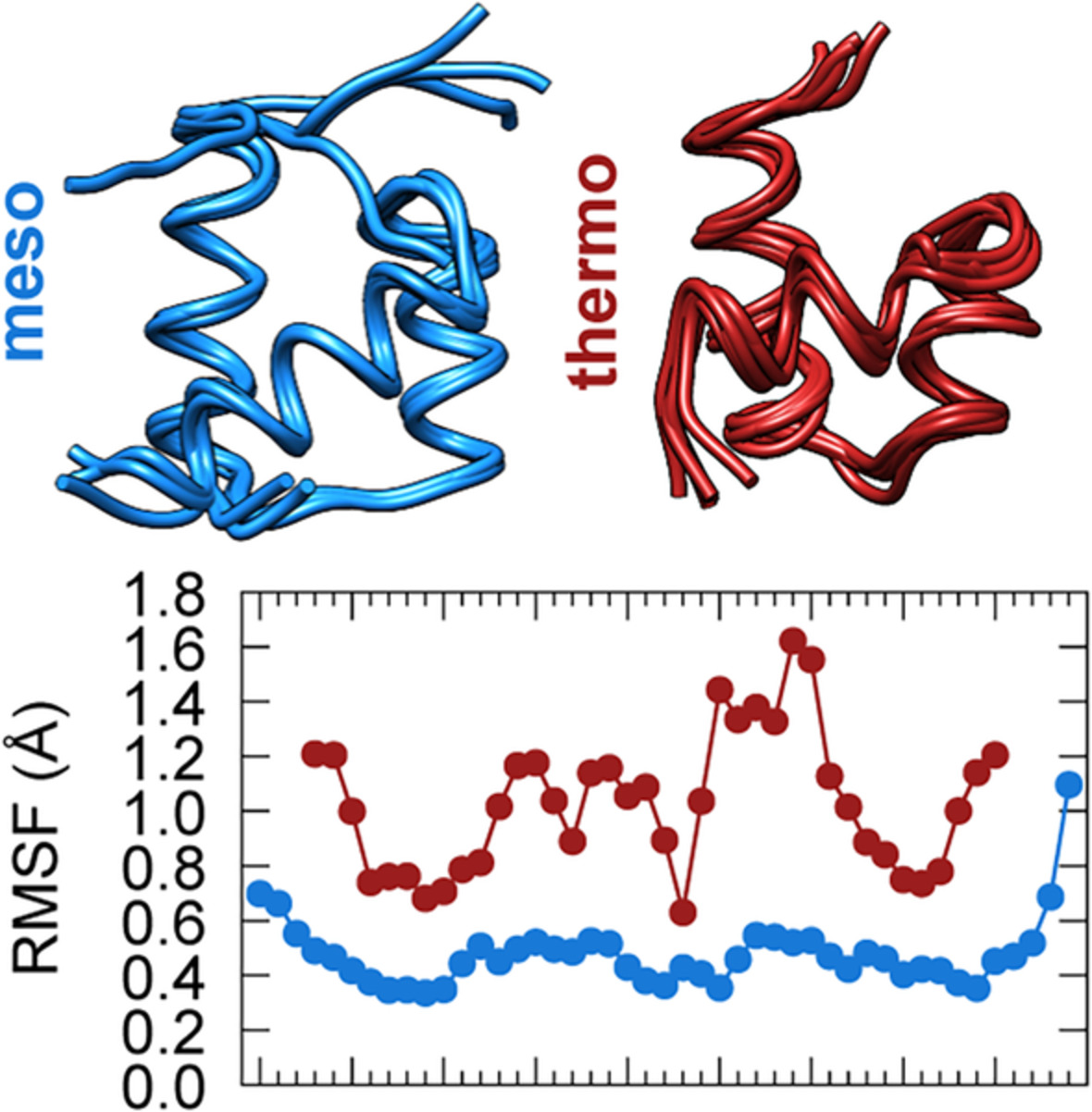 Thermostabilization mechanisms in thermophilic versus mesophilic three‐helix bundle proteins