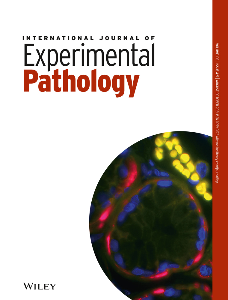 British Society for Matrix Biology Spring 2021 Meeting: “Inflammation, Fibrosis, Resolution and the Matrix”