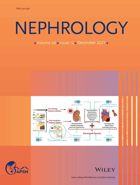 Gross haematuria after mRNA COVID‐19 vaccination in two patients with histological and clinical diagnosis of IgA nephropathy