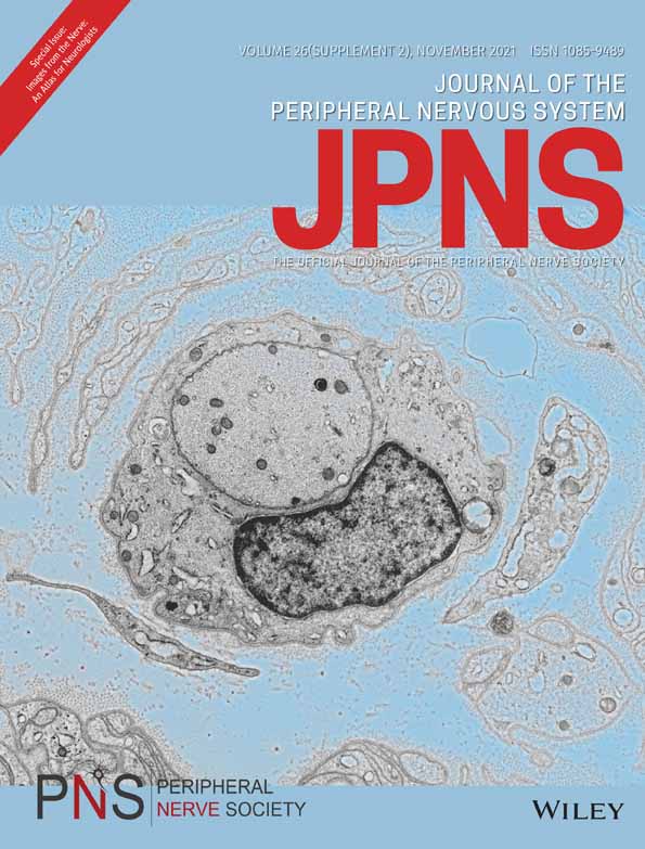 Techniques for the standard histological and ultrastructural assessment of nerve biopsies