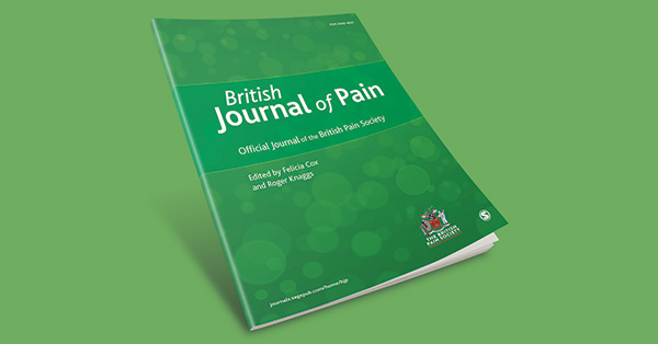 The association between sleep quality, preoperative risk factors for chronic postoperative pain and postoperative pain intensity 12 months after knee and hip arthroplasty