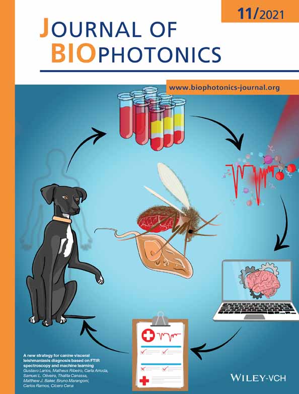 Photonic technique to study the effects of probiotics on chronic alcoholic brain cells by quantifying their molecular specific structural alterations via confocal imaging