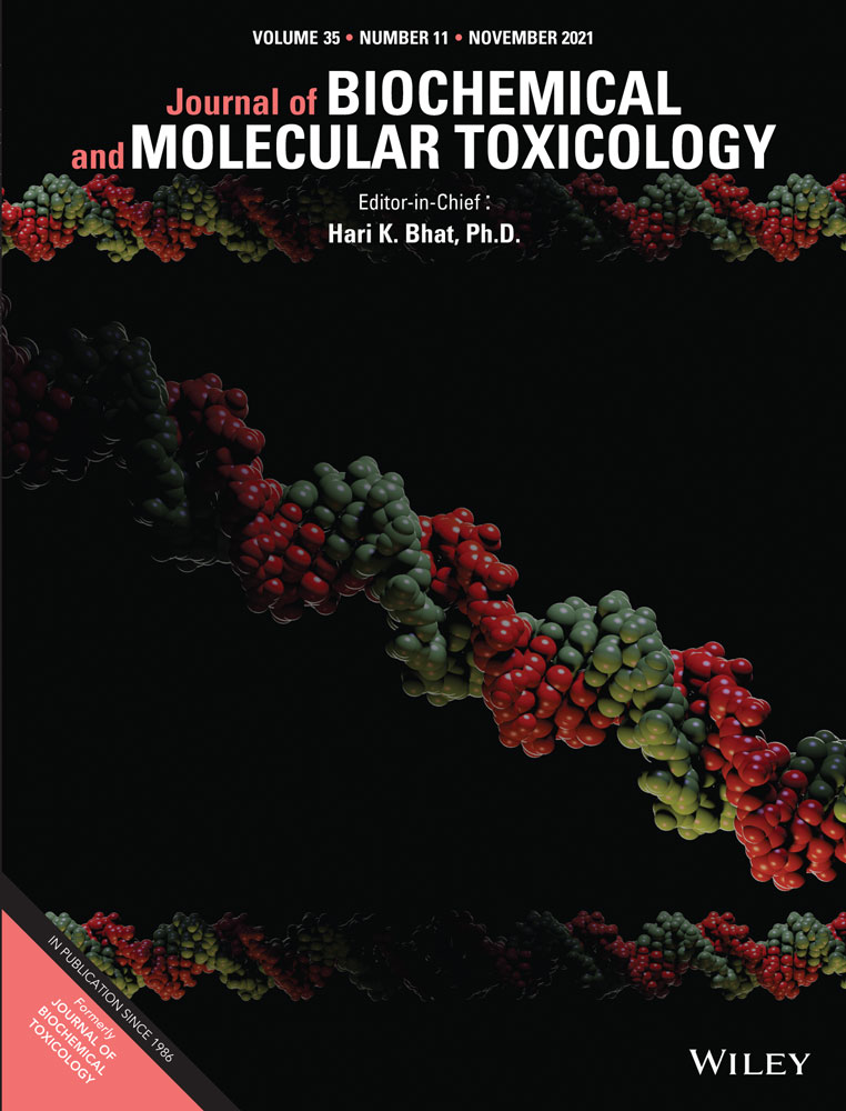 Effects of quercetin on apoptosis and extracellular matrix degradation of chondrocytes induced by oxidative stress‐mediated pyroptosis