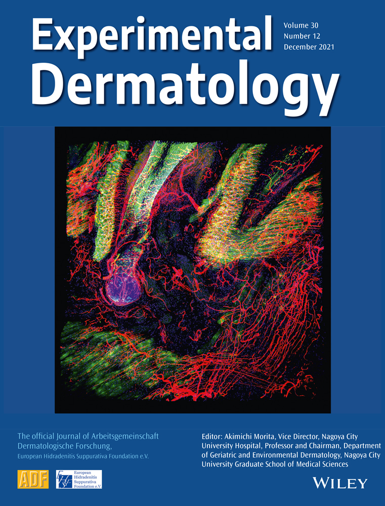 Gene expression profiling of laminin α3 blocked keratinocytes reveals an immune‐independent mechanism of blistering