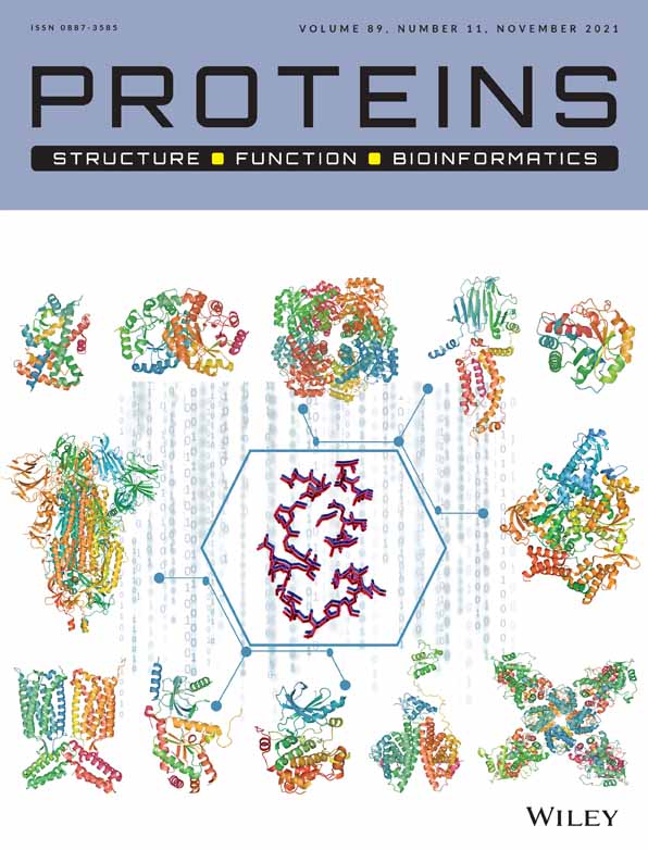 Low‐frequency collective motion of DNA‐binding domain defines p53 function