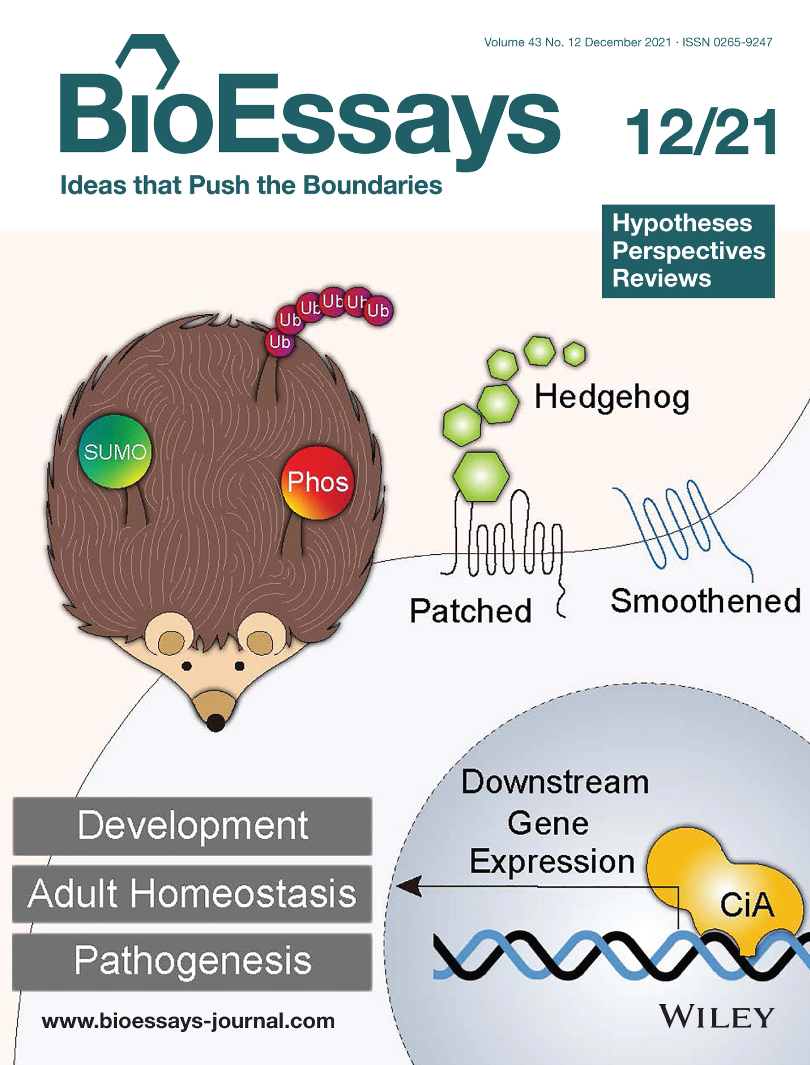 BioEssays 12/2021