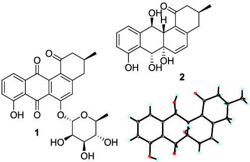 Angucycline and angucyclinone derivatives from the marine‐derived Streptomyces sp.