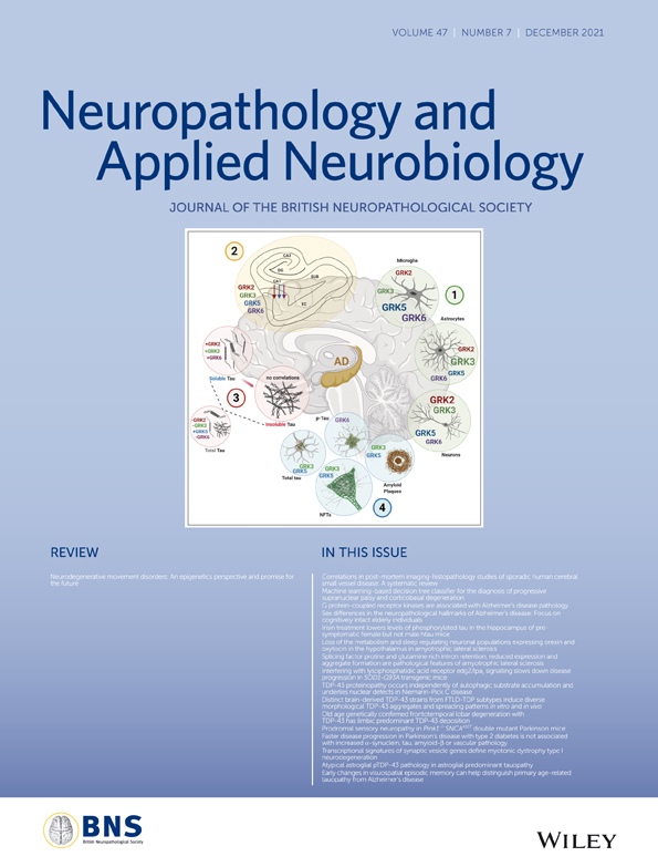 Alpha adaptins show isoform‐specific association with neurofibrillary tangles in Alzheimer’s disease.