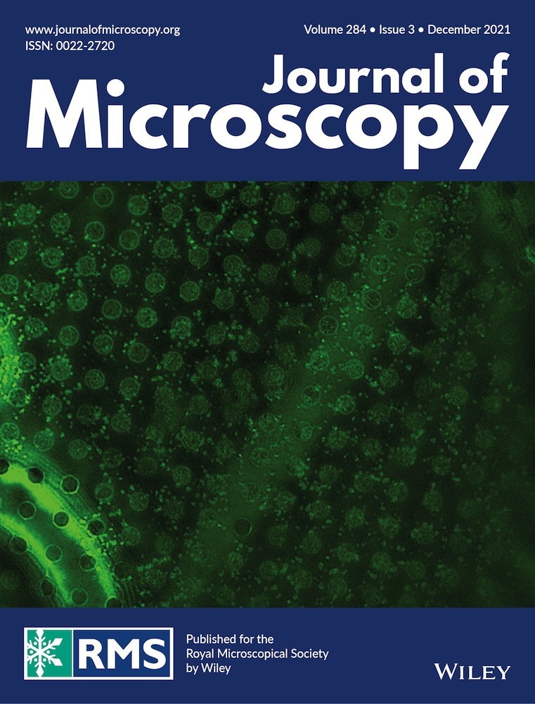 Influence of alumina ratio on reactions at the surface of alite crystals during cooling