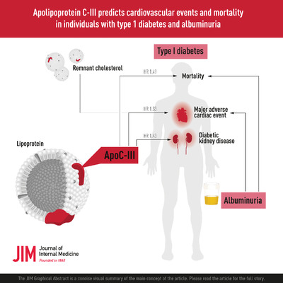 Apolipoprotein C‐III predicts cardiovascular events and mortality in individuals with type 1 diabetes and albuminuria