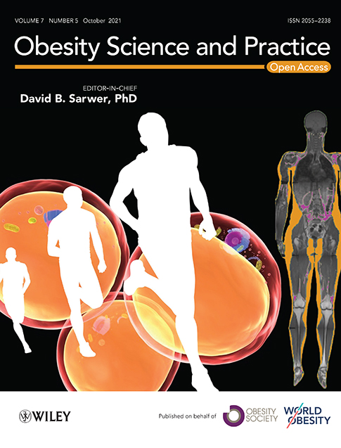 Family‐based interventions for preventing overweight or obesity among preschoolers from racial/ethnic minority groups: a scoping review