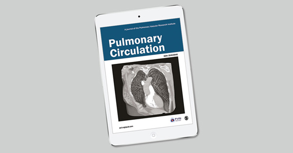 Vascular remodeling of the small pulmonary arteries and measures of vascular pruning on computed tomography