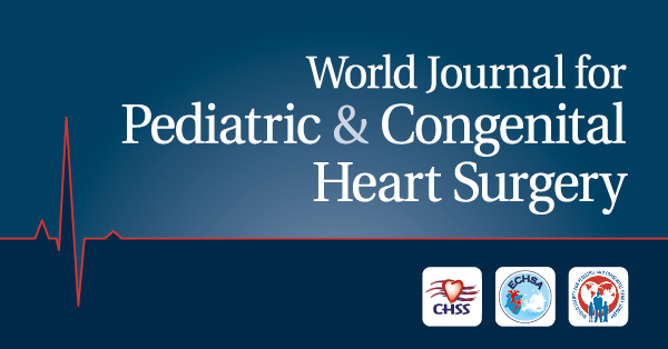 Stage-1 Hybrid Palliation for High-Risk 2-Ventricle Patients with Ductal-Dependent Systemic Circulation  in the Era of High Prenatal Detection