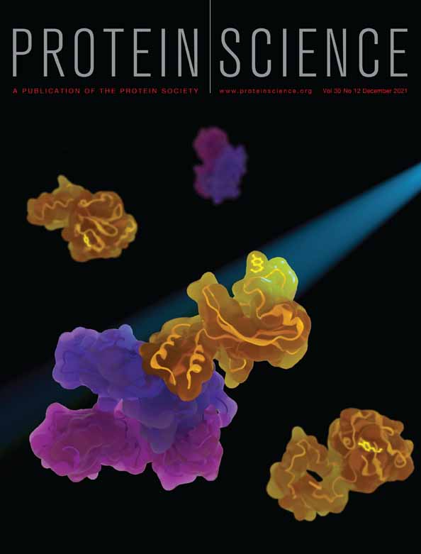 Analysis of protein–ligand interactions from titrations and nuclear magnetic resonance relaxation dispersions