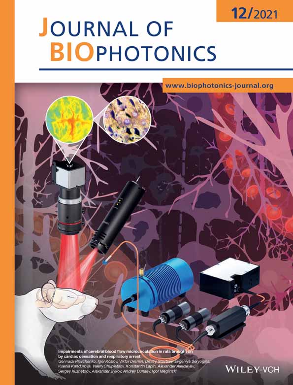 Towards the development of portable LED‐based polarization spectroscopy tools for breast cancer diagnosis