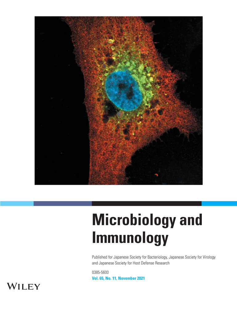 Sendai virus C protein affects macrophage function, which plays a critical role in modulating disease severity during Sendai virus infection in mice