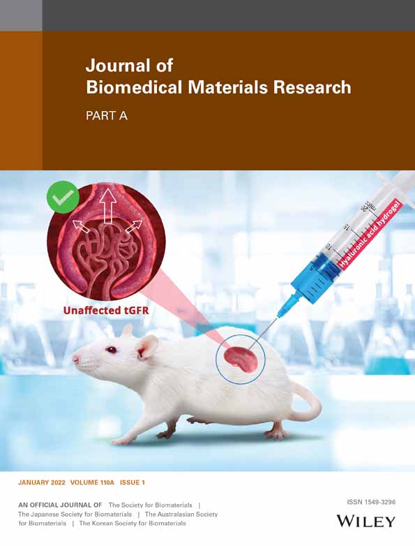 Hyaluronan size alters chondrogenesis of mesenchymal stem cells cultured on tricalcium phosphate‐collagen‐hyaluronan scaffolds