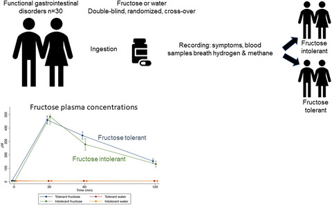 Fructose intolerance is not associated with malabsorption in patients with functional gastrointestinal disorders