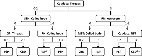 Machine learning‐based decision tree classifier for the diagnosis of progressive supranuclear palsy and corticobasal degeneration