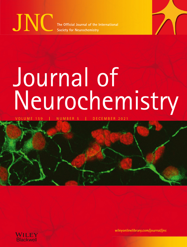 Sec3 exocyst component knockdown inhibits axonal formation and cortical neuronal migration during brain cortex development