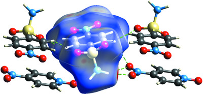 A novel hydrogen‐bonding N‐oxide–sulfonamide–nitro N—H…O synthon determining the architecture of benzenesulfonamide cocrystals