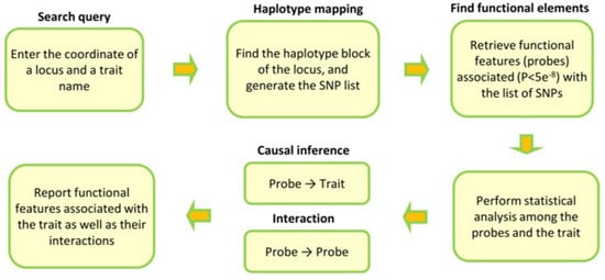 Cardiogenetics, Vol. 11, Pages 255-262: Understanding the Function of a Locus Using the Knowledge Available at Single-Nucleotide Polymorphisms