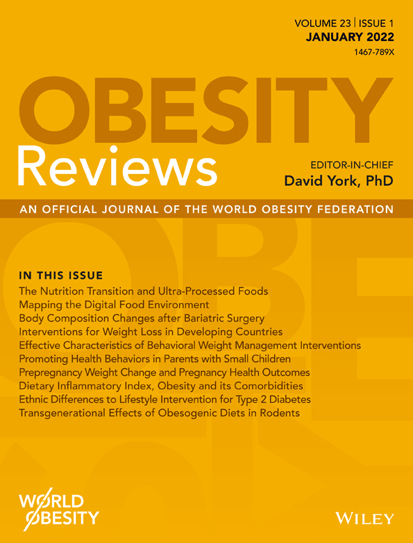 High‐fat diets on the enteric nervous system: Possible interactions and mechanisms underlying dysmotility