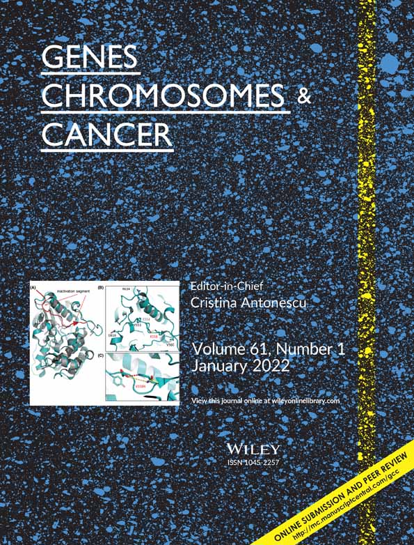 Novel EWSR1‐UBP1 fusion expands the spectrum of spindle cell rhabdomyosarcomas