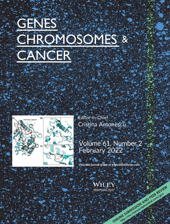 Recurrent PTBP1‐MAML2 fusions in composite hemangioendothelioma with neuroendocrine differentiation: A report of two cases involving neck lymph nodes