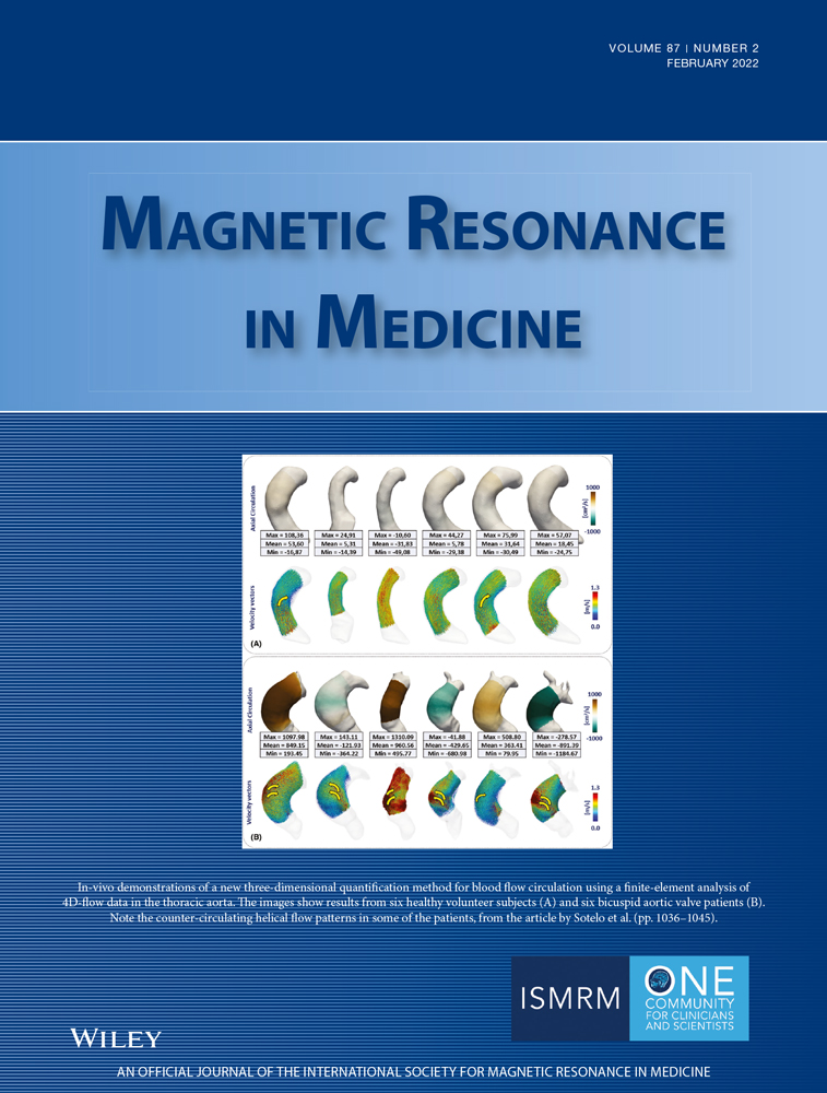 Fast multi‐parametric imaging in abdomen by  corrected dual‐flip angle sequence with interleaved echo acquisition