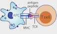 Carfilzomib modulates tumor microenvironment to potentiate immune checkpoint therapy for cancer