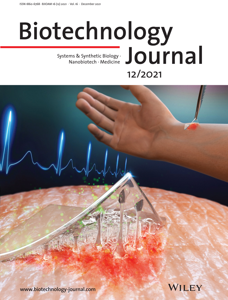 Advancements in nucleic acids‐based techniques for bone regeneration