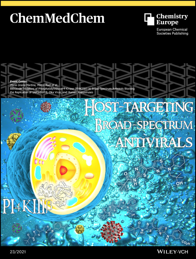 Drug‐derived surface‐active ionic liquids: a cost‐effective way to expressively increase blood‐stage antimalarial activity of primaquine