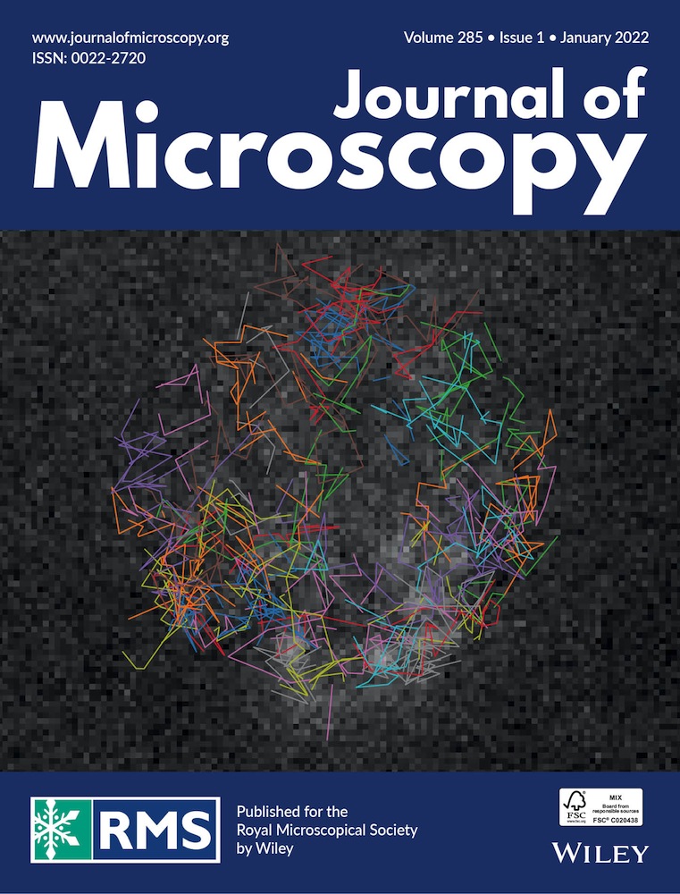 Reconstruction of calcium silicate hydrates using multiple 2D and 3D imaging techniques: Light Microscopy, μ‐CT, SEM, FIB‐nT combined with EDX