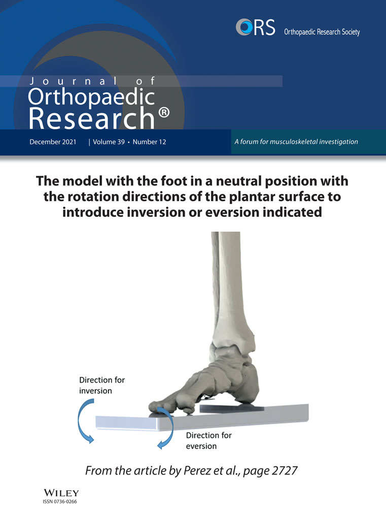 Use of Computer Tomography Imaging for Analyzing Bone Remodeling Around a Percutaneous Osseointegrated Implant