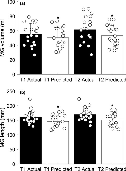 Medial gastrocnemius growth in children who are typically developing: Can changes in muscle volume and length be accurately predicted from age?