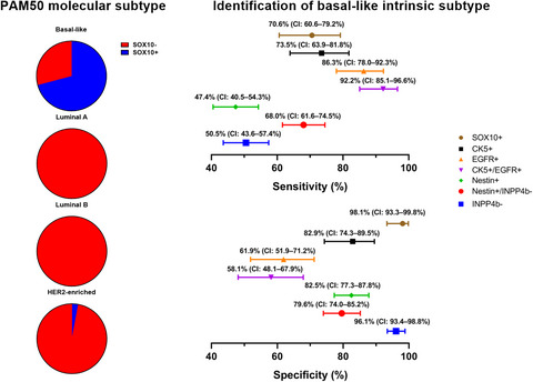 SRY‐box transcription factor 10 is a highly specific biomarker of basal‐like breast cancer