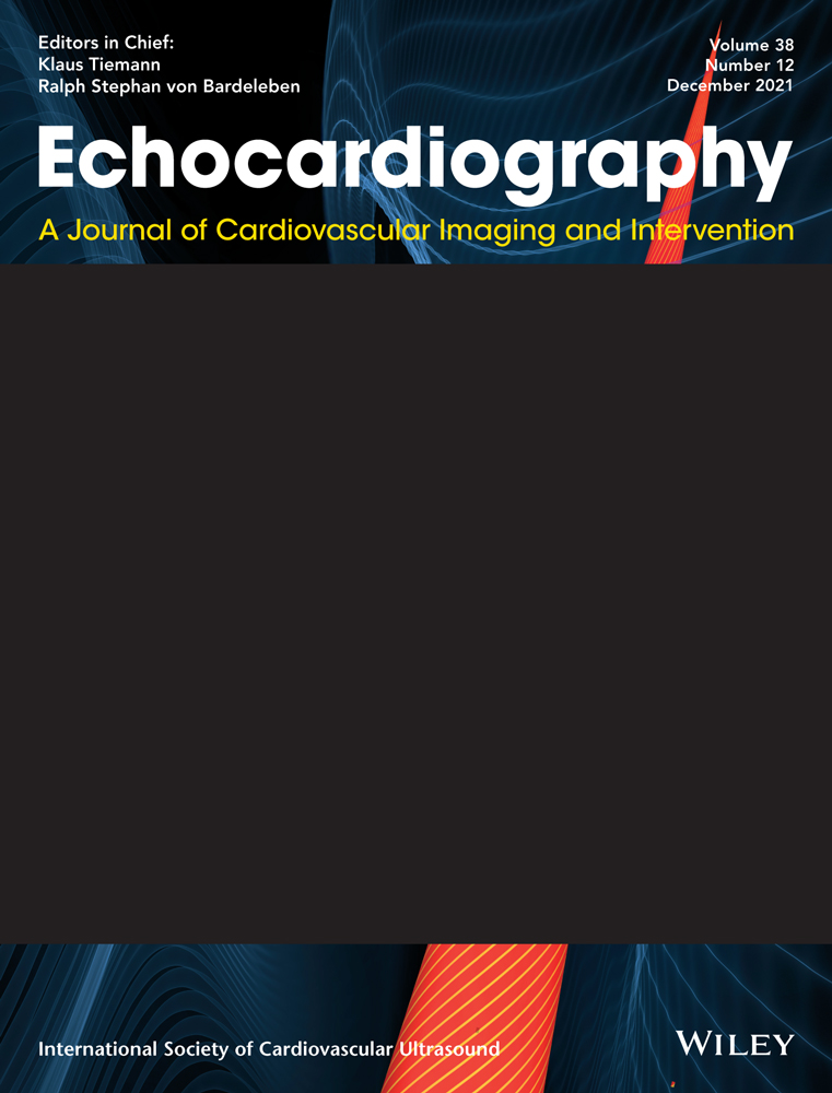 Prevalence and prognostic importance of lung ultrasound findings in acute coronary syndrome: A systematic review