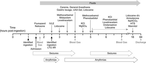 Successful management of massive lamotrigine extended‐release intoxication in a dog