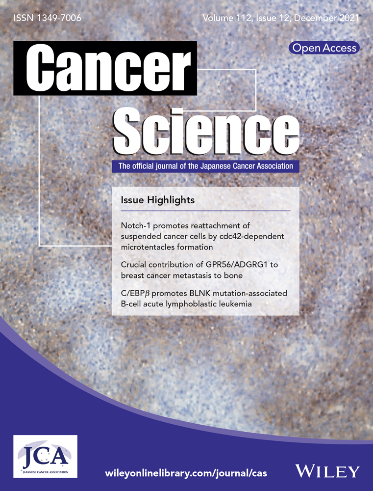 NLRP4 negatively regulates type I interferon response and influences the outcome in anti‐PD‐1/PD‐L1 therapy